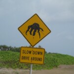 Typical view on the Christmas Island