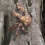 Our everyday friends