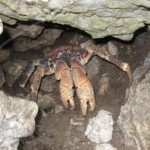 Our everyday friends