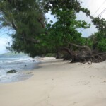 Some local views near our QTH