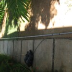 The Top Band verical (on the wall) prepared and ready to put it up