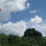 View of the QTH with some of our antennas