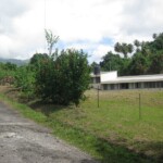 View of the QTH with some of our antennas