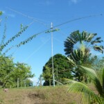 View of the QTH with some of our antennas