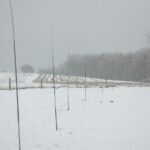 We hade some beveridges also