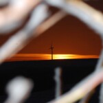 Some views from the QTH