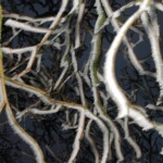 It was snowing and freezing outside